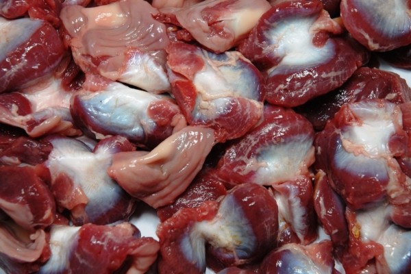 Frozen Chicken Gizzard - PAMPEANO ALIMENTOS SA