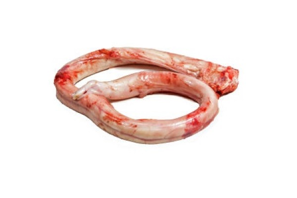 Frozen Veal Pizzle - PAMPEANO ALIMENTOS SA