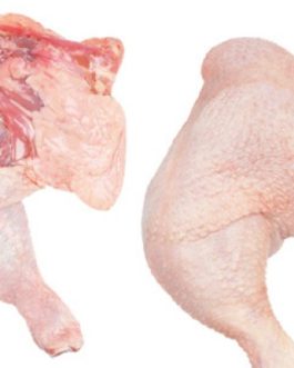 Halal Frozen Chicken Leg - PAMPEANO ALIMENTOS SA