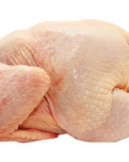 Halal Frozen Whole Chicken-Grade A - PAMPEANO ALIMENTOS SA